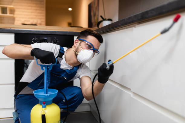 Best Best Pest Control Companies  in Nanakuli, HI